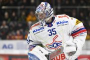 TIGERS - KLOTEN