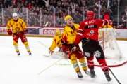LAUSANNE - TIGERS