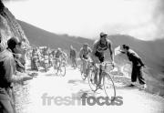 Radsport - Tour de France 1938