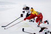 TIGERS - LAUSANNE