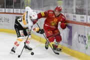 TIGERS - LUGANO