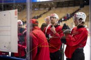 TRAINING SCHWEIZ