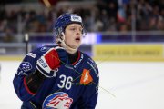 ZSC - TIGERS