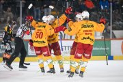BERN - TIGERS