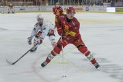 TIGERS - ZSC