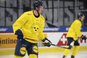 TRAINING SCHWEDEN