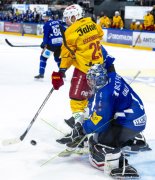 FRIBOURG - TIGERS