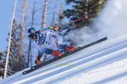 BEAVER CREEK 23