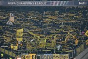 STUTTGART - YB
