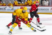 LAUSANNE - TIGERS