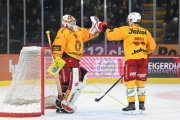 BERN - TIGERS