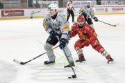 TIGERS - FRIBOURG