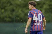 BASEL - WIL