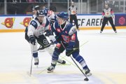 FRIBOURG - NITRA