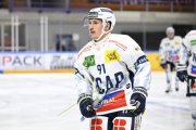 AMBRI - TIGERS
