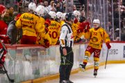 LAUSANNE - TIGERS