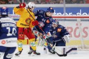 ZSC - TIGERS