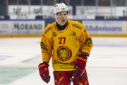 FRIBOURG - TIGERS