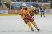 DAVOS - TIGERS