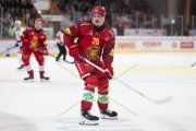 TIGERS - ZSC