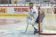 TIGERS - ZSC