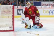 TIGERS - ZSC