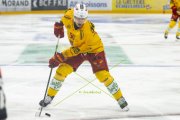 FRIBOURG - TIGERS