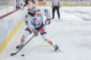 TIGERS - ZSC