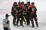 BERN - MOUNTFIELD