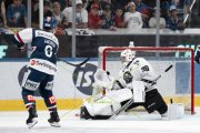 FIALA ALLSTARS - ZSC