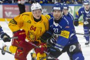 FRIBOURG - TIGERS