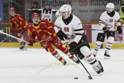 TIGERS - LAUSANNE