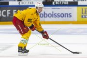 FRIBOURG - TIGERS