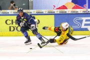 AMBRI - BERN