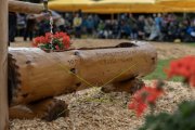 BASELSTAEDTISCHER SCHWINGERTAG
