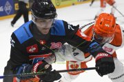 FRIBOURG - SHEFFIELD