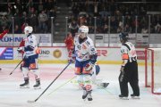 TIGERS - ZSC