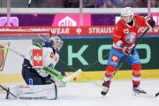 ZSC - STRAUBING