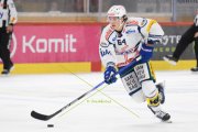 TIGERS - KLOTEN