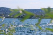 ZURICH CITY TRIATHLON 2026