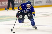 FRIBOURG - TIGERS