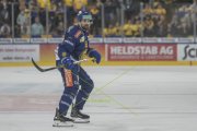 DAVOS - TIGERS