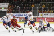TIGERS - KLOTEN