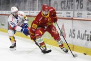 TIGERS - KLOTEN