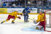 FRIBOURG - TIGERS