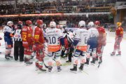 TIGERS - ZSC