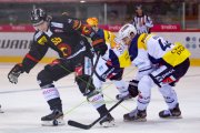 BERN - AMBRI