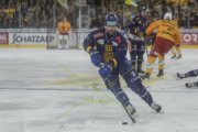 DAVOS - TIGERS
