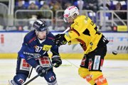 AMBRI - BERN