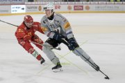 TIGERS - FRIBOURG
